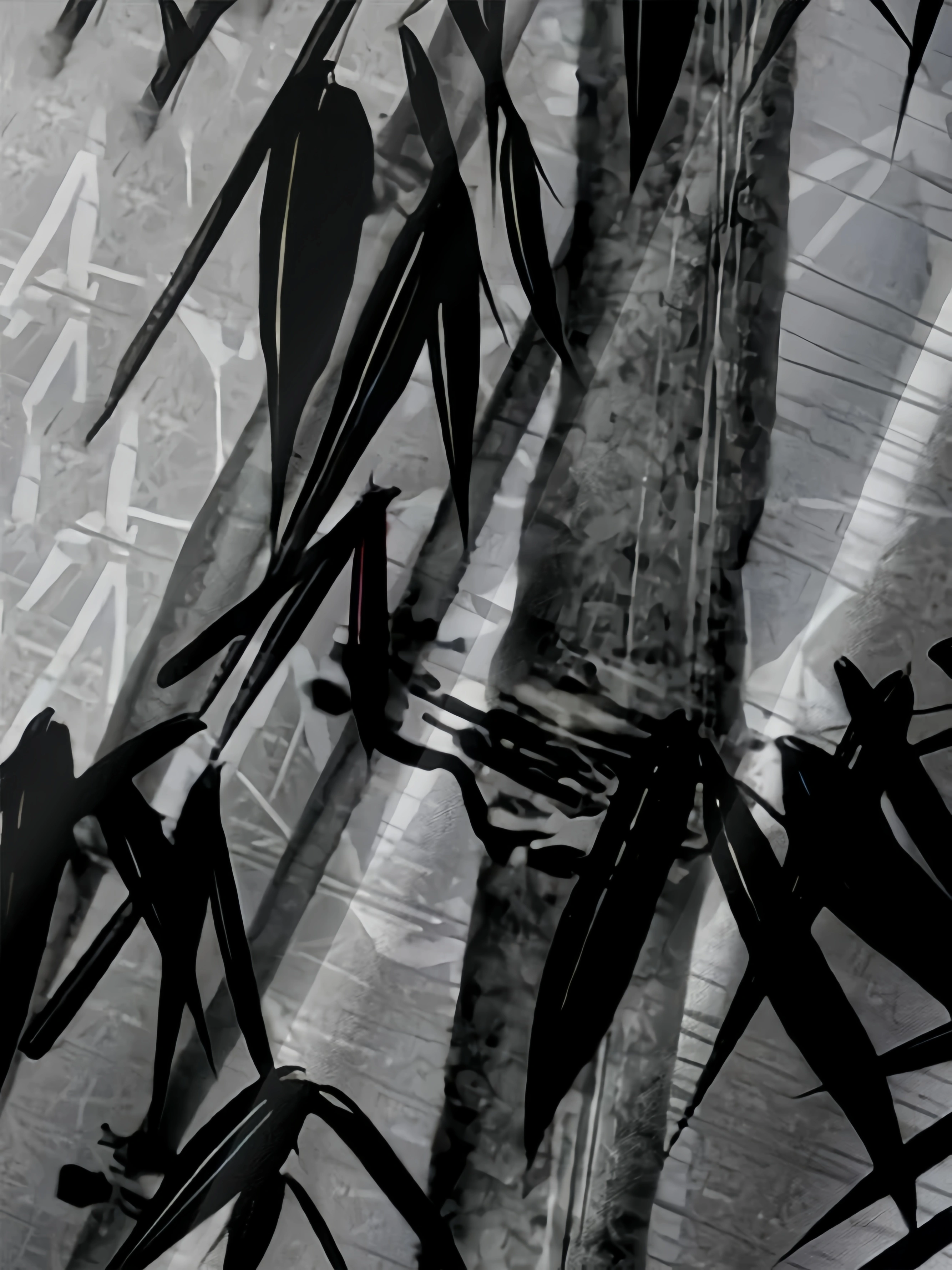 Bamboo Chest Pocket Short Sleeve Casual Shirt