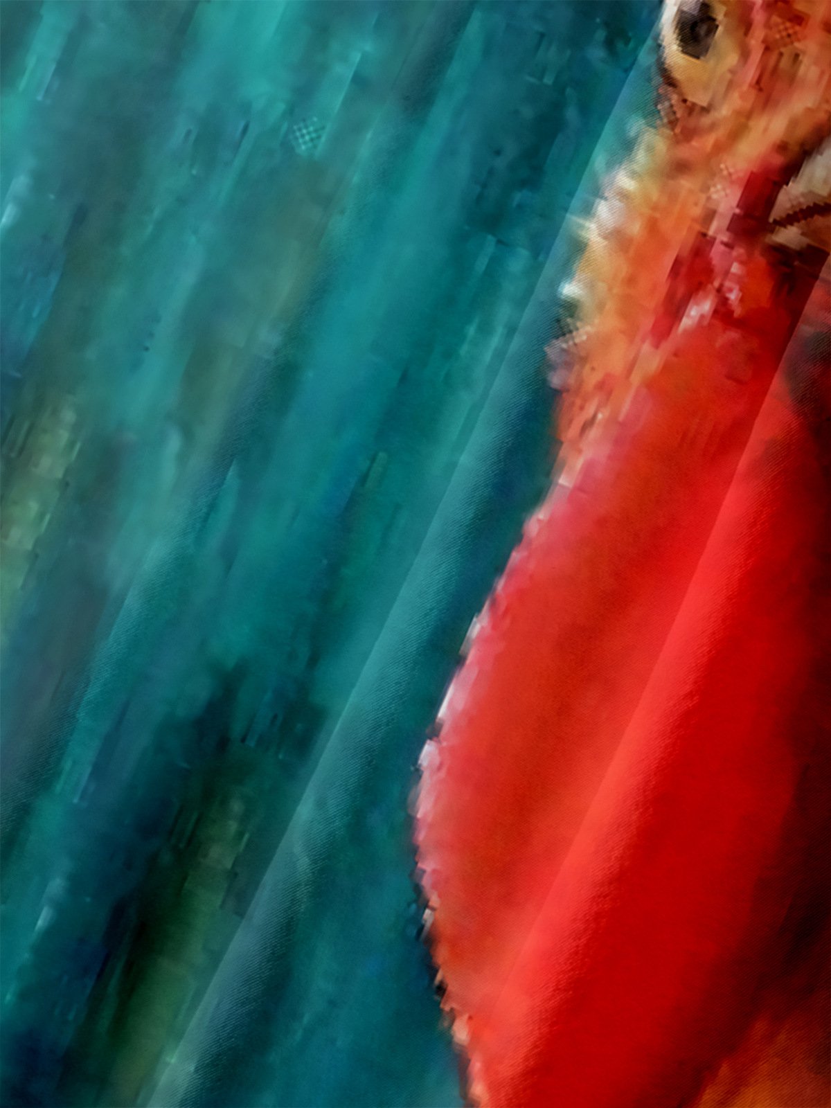 Funky Rooster Chest Pocket Short Sleeve Casual Shirt