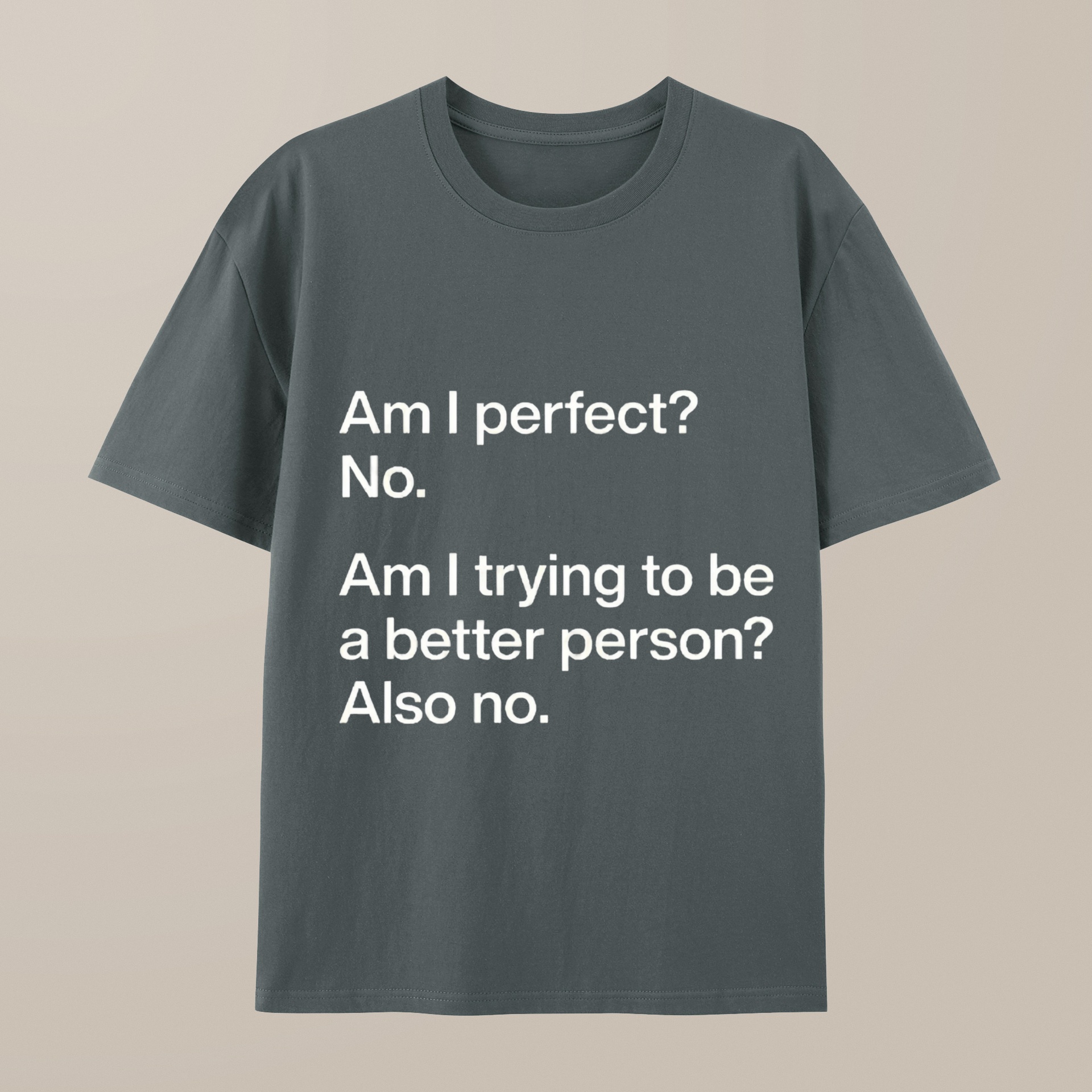 （100% Cotton）Am I Perfect No Geek T-Shirt