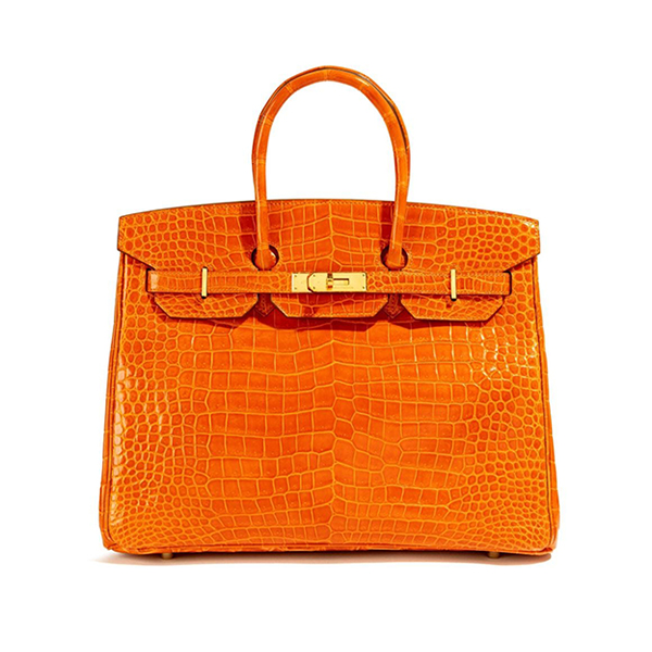 Birkin 35 handbag HS6281