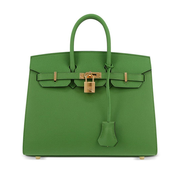 Birkin 25 handbag HS6287