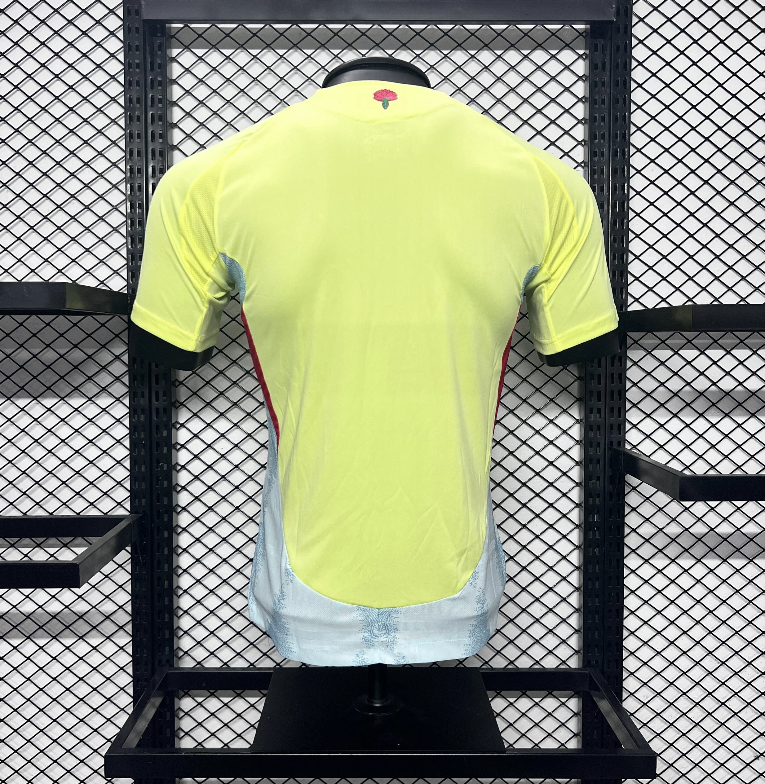 Player Version Spain 24/25 Away