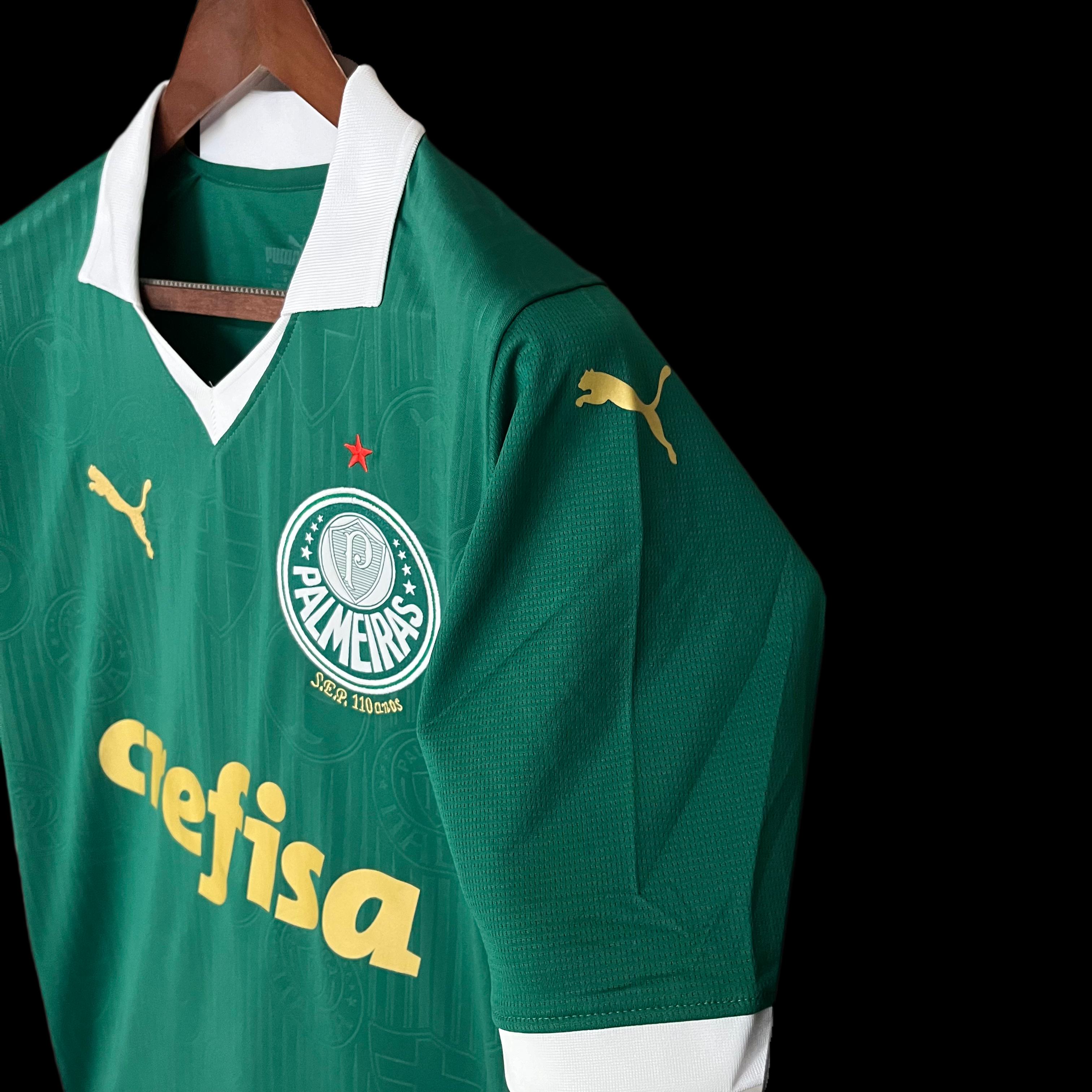 Palmeiras Home 24/25 Verde - Torcedor Masculina