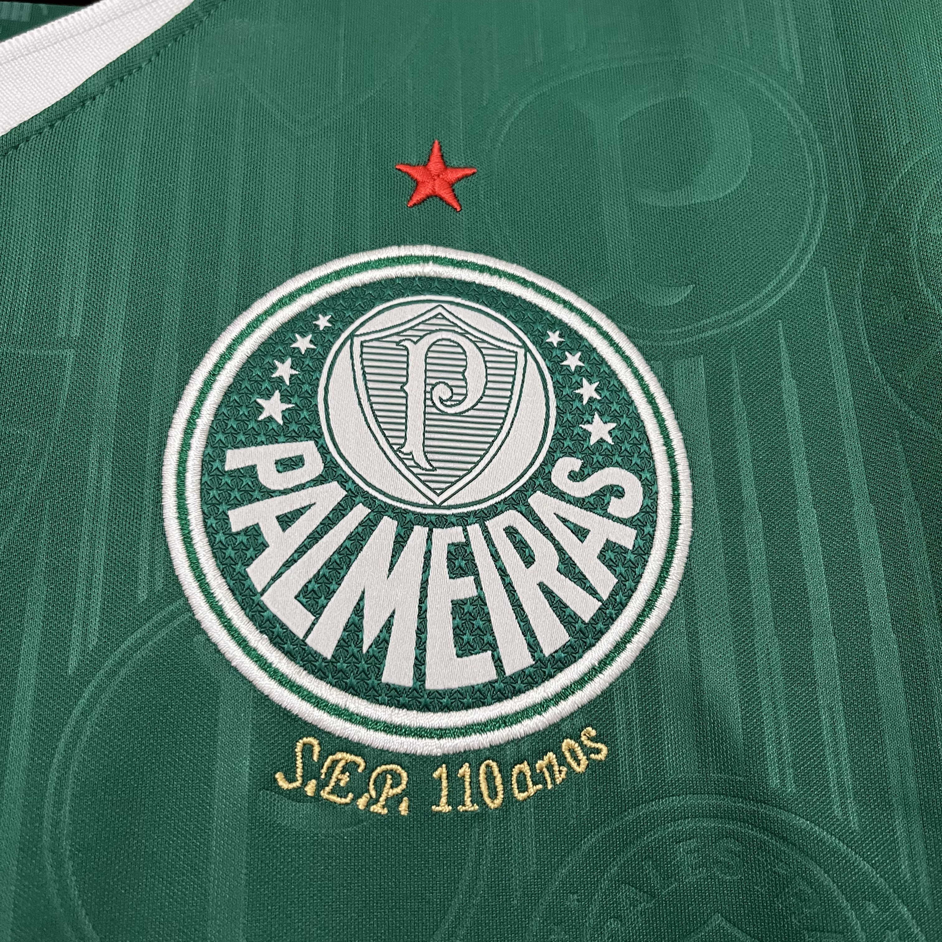 Palmeiras Home 24/25 Verde - Torcedor Masculina