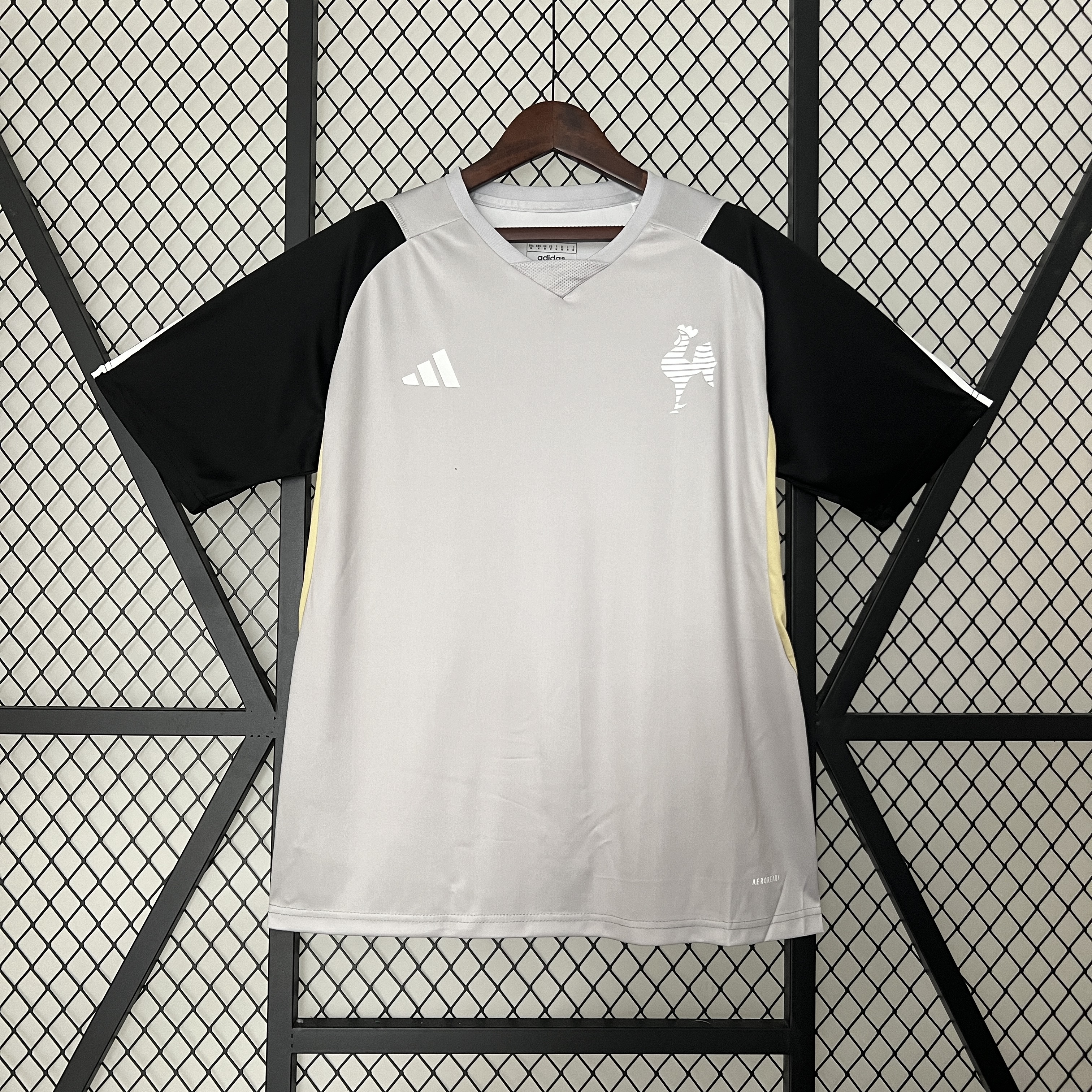 Atlético Mineiro 2024 Training