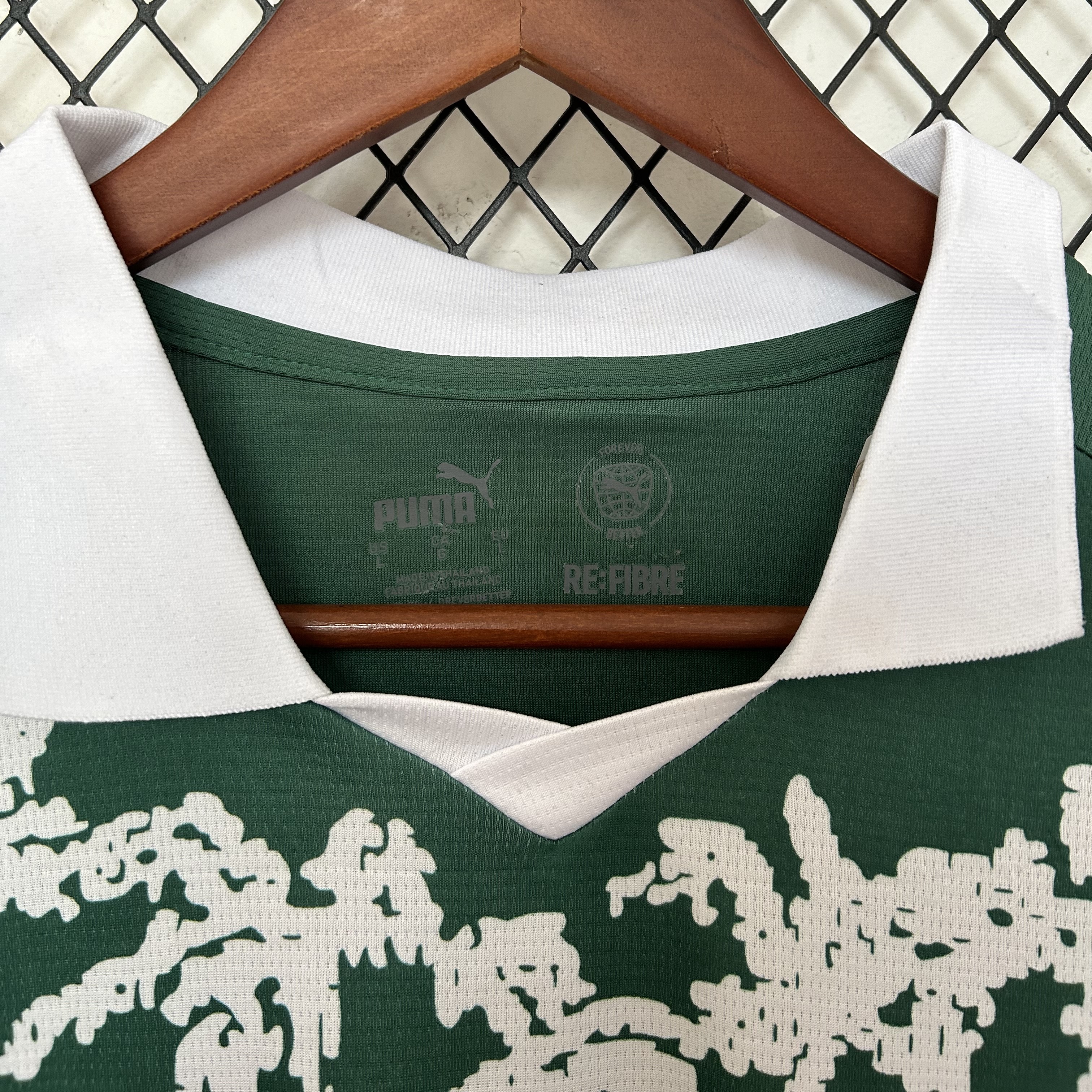 Masculina  Palmeiras 25/26 Special Green 4