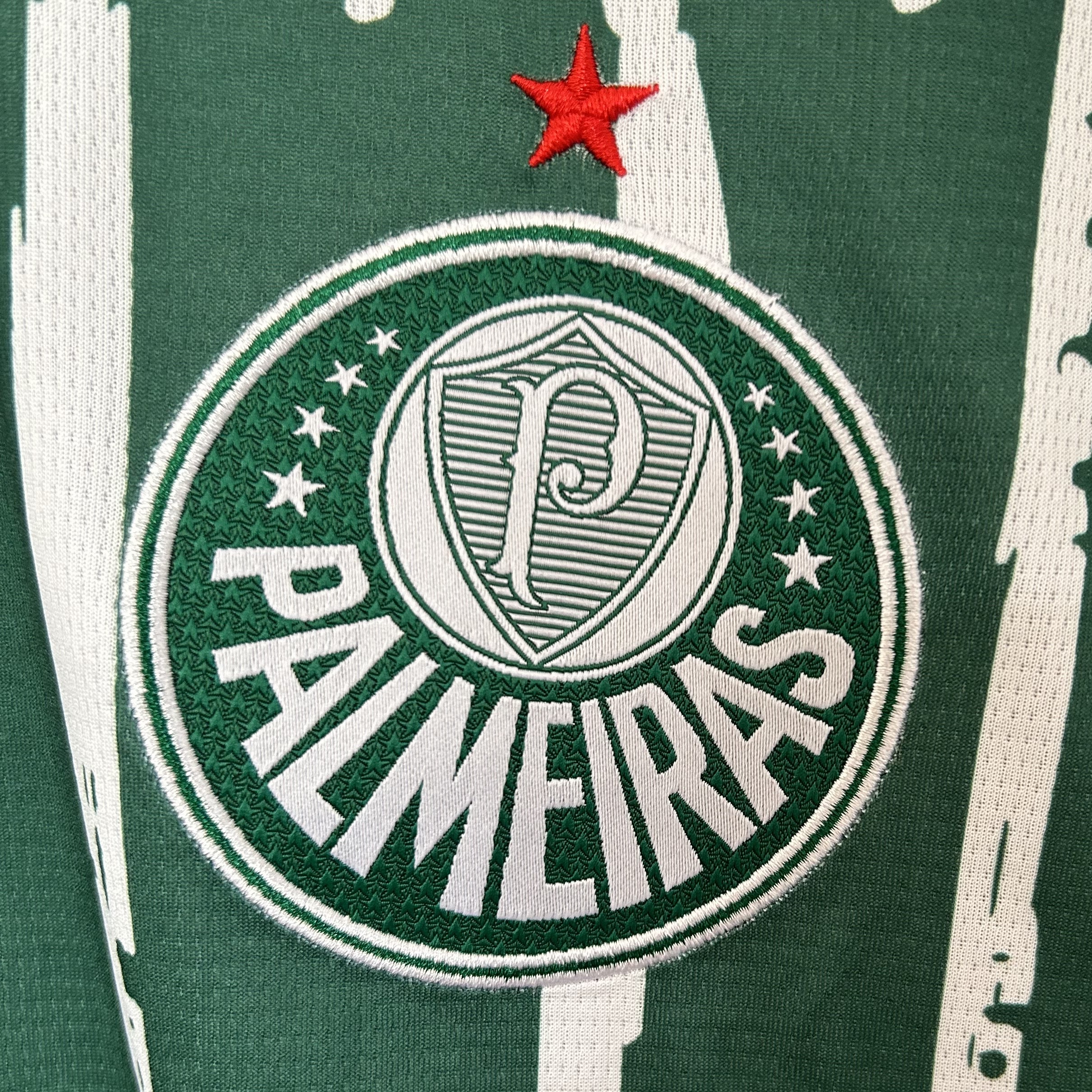 Masculina  Palmeiras 25/26 Special Green 3