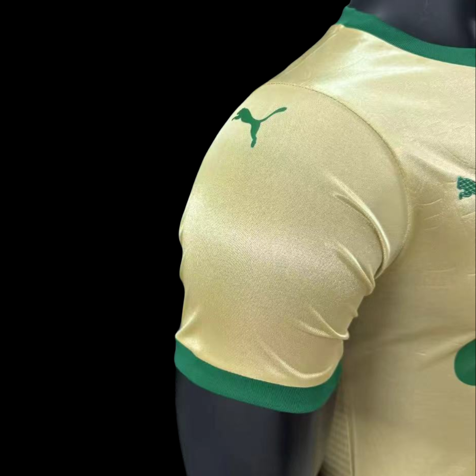 Player Version  Palmeiras 24/25 Third 3