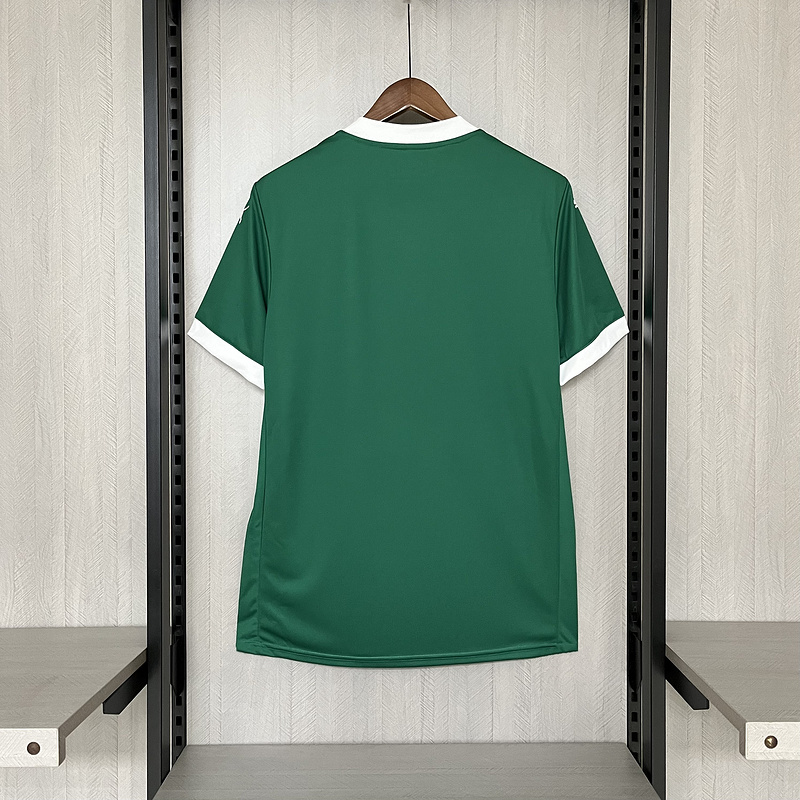 Masculina  Palmeiras 25/26 Home Green