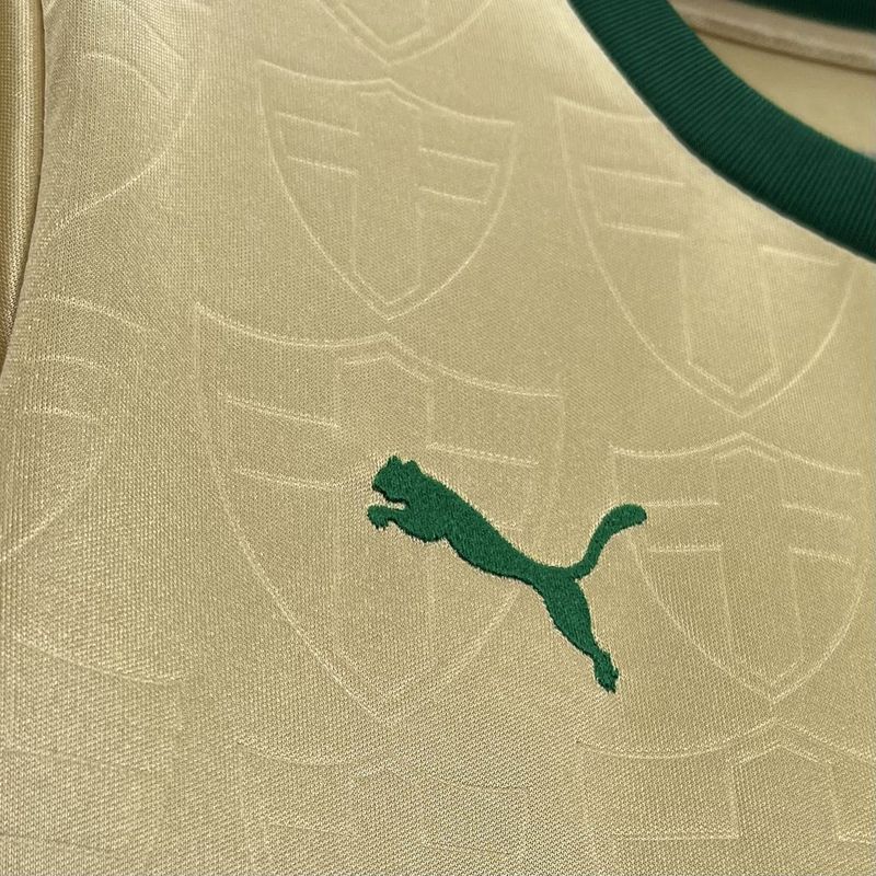 Masculina  Palmeiras 24/25 Third