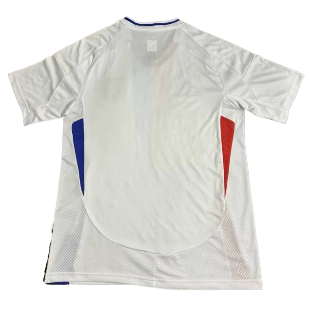 Lyon 24/25 Home