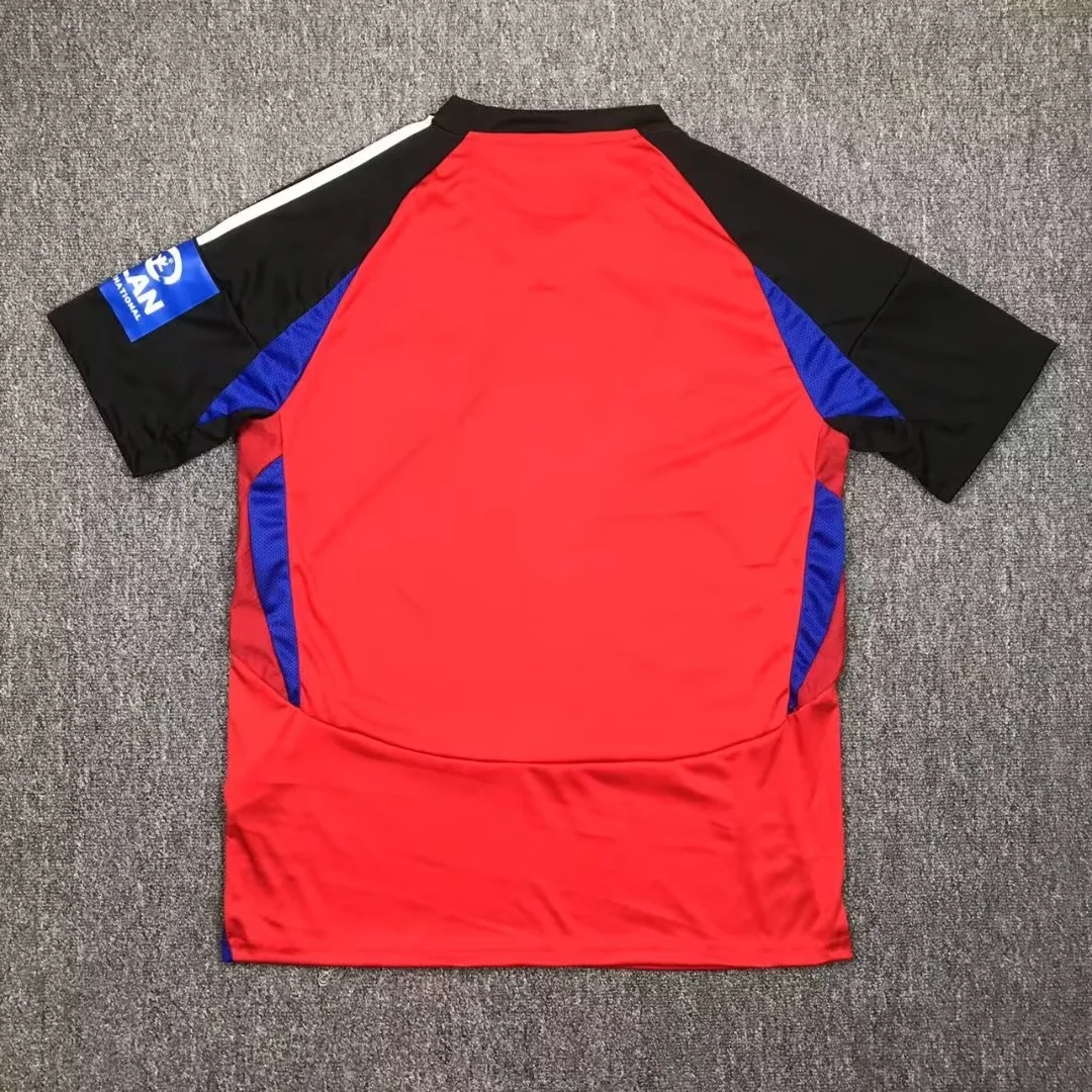 Hamburger 24/25 Away Kit S-XXL