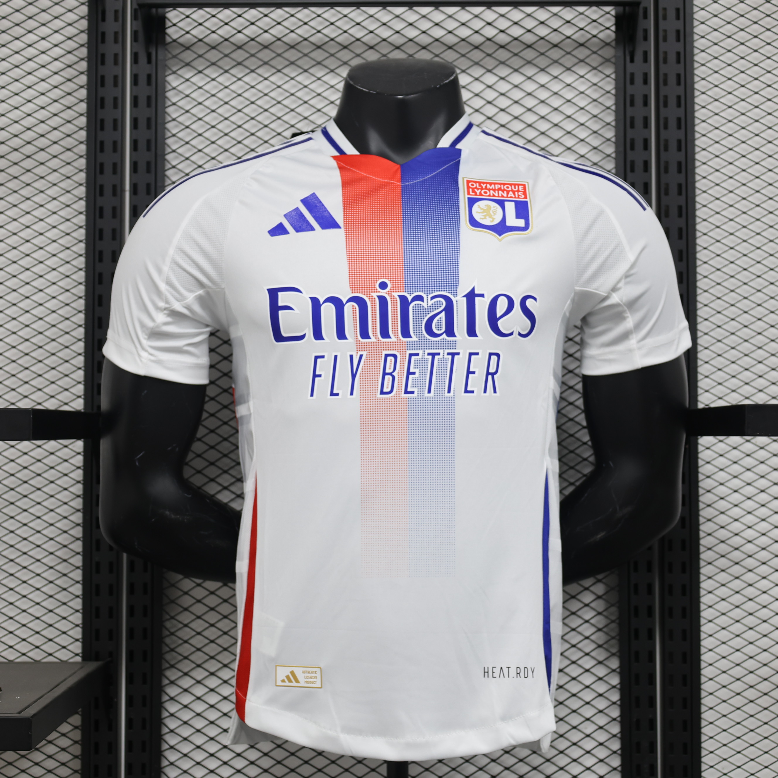 Player Version Lyon 24/25 Home
