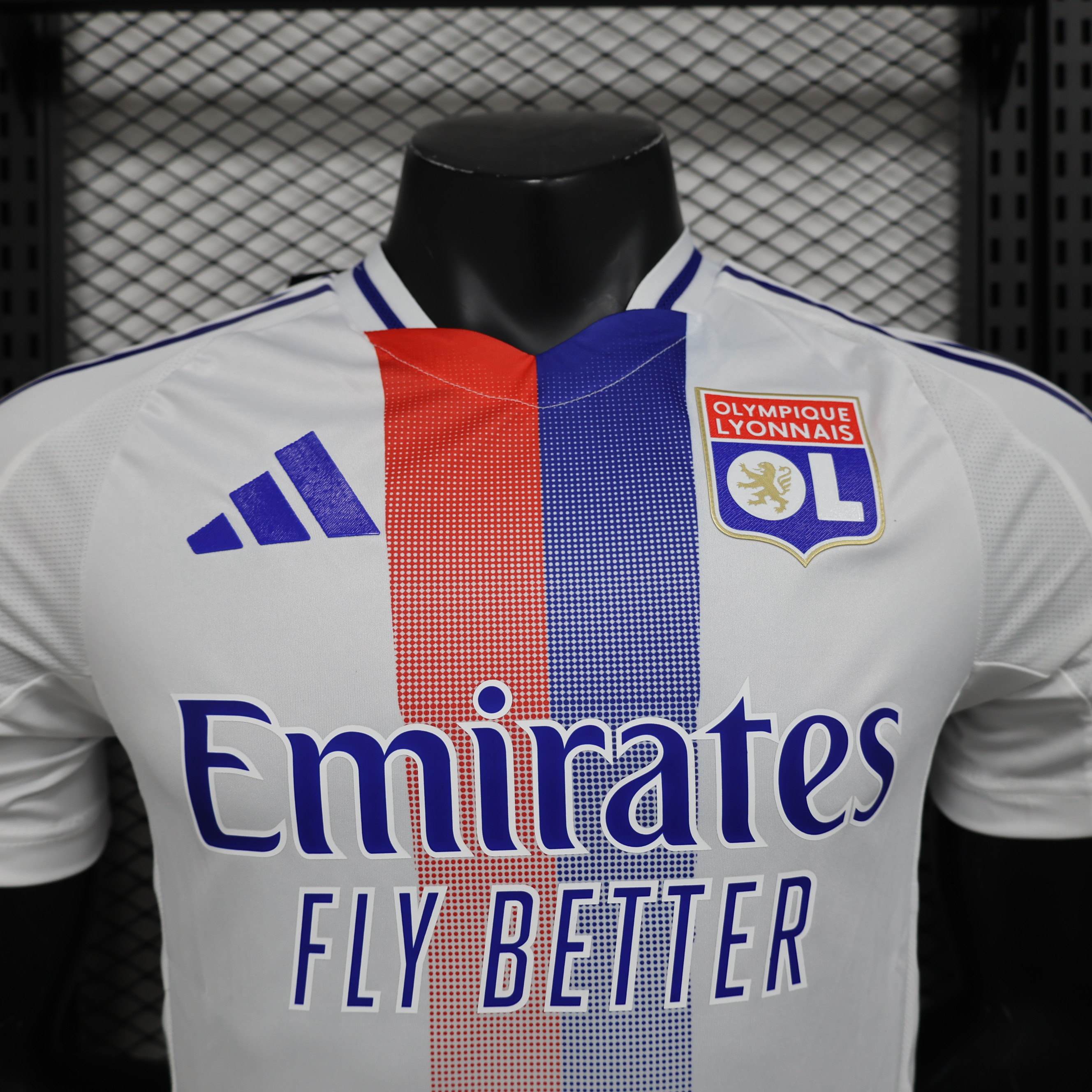 Player Version Lyon 24/25 Home