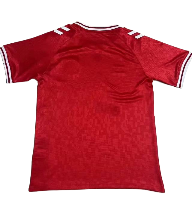 Denmark 2024 Home Jersey S-XXL
