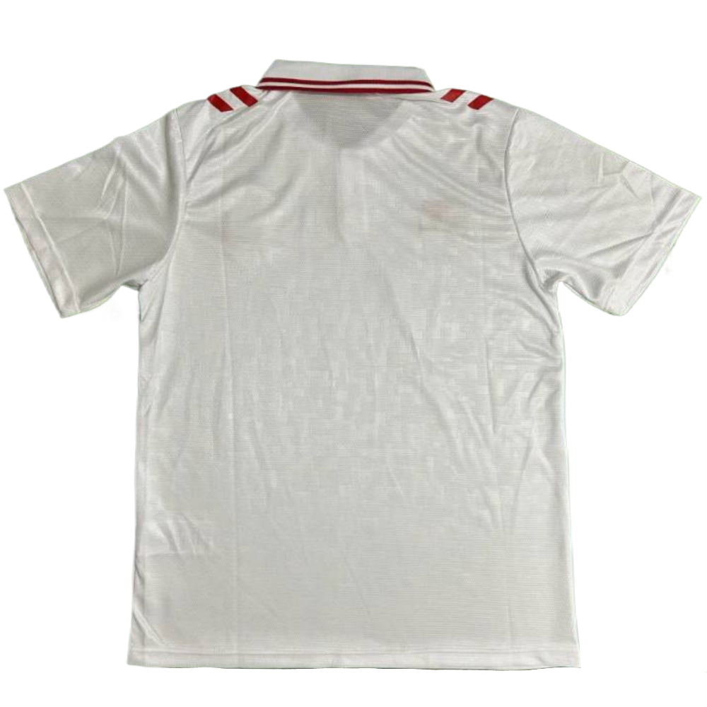 Denmark 2024 Away Jersey S-XXL