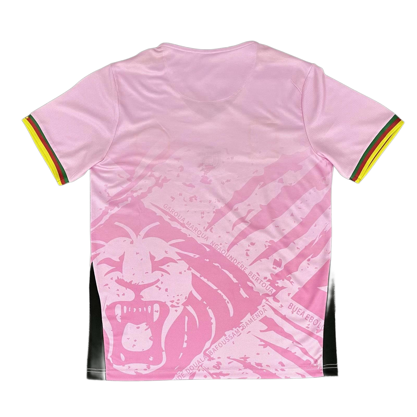 Cameroon 25/26 Pink Jersey S-XXL
