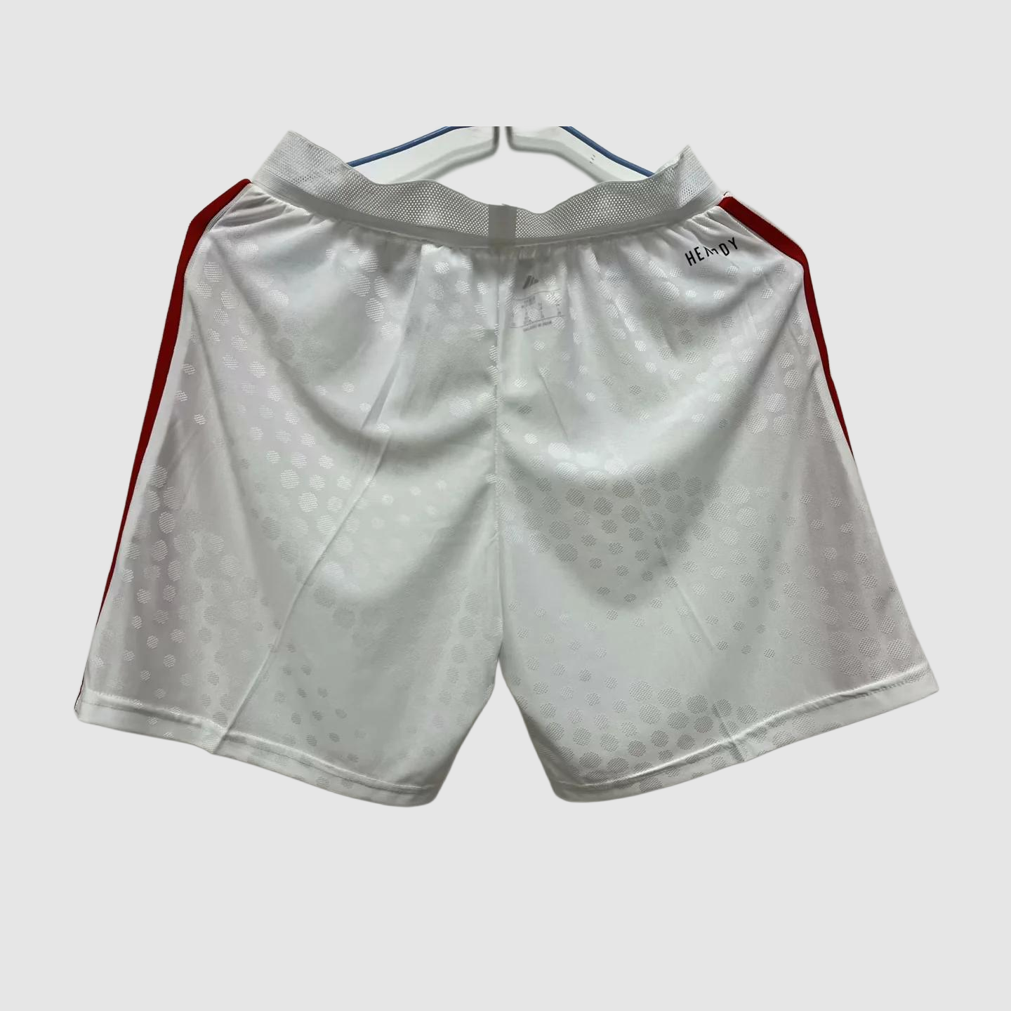 Shorts Player Version Benfica 25/26 Home S-XXL