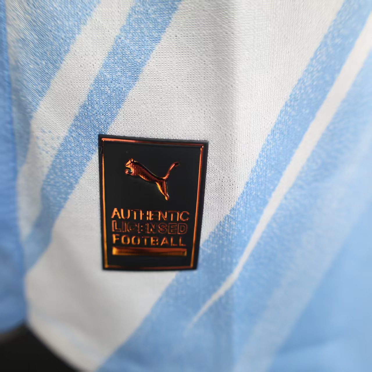 Player Version Man City 25/26 Home Long Sleeves S-XXL 4