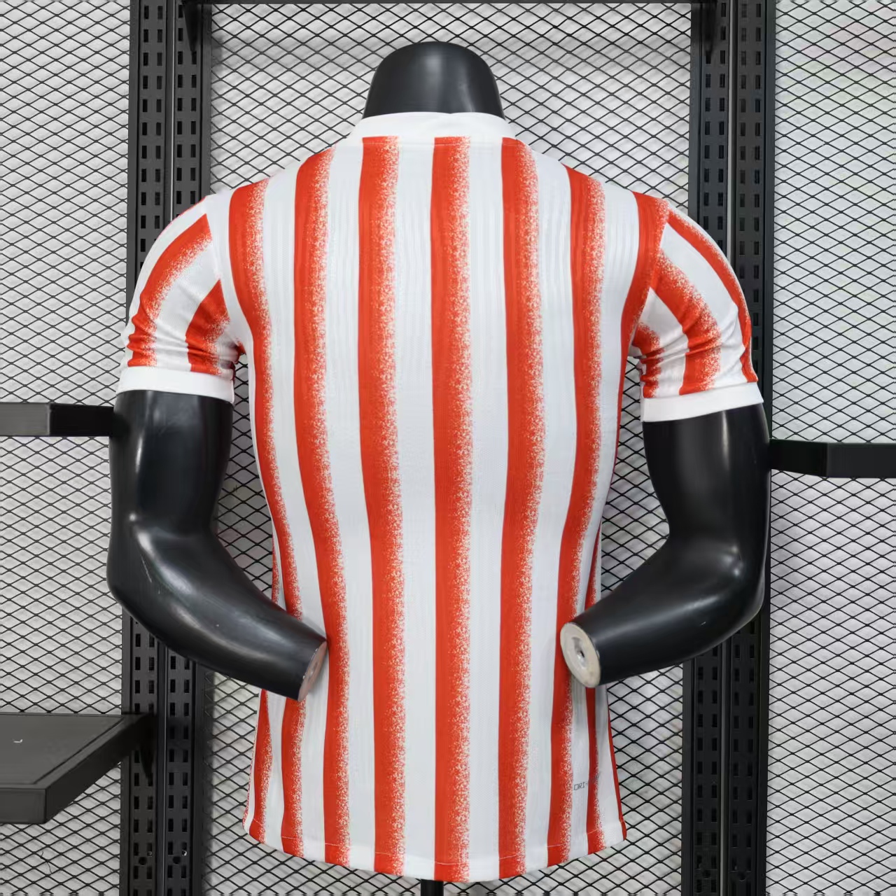 Player Version Inter Milan 25/26 Special S-XXL 3