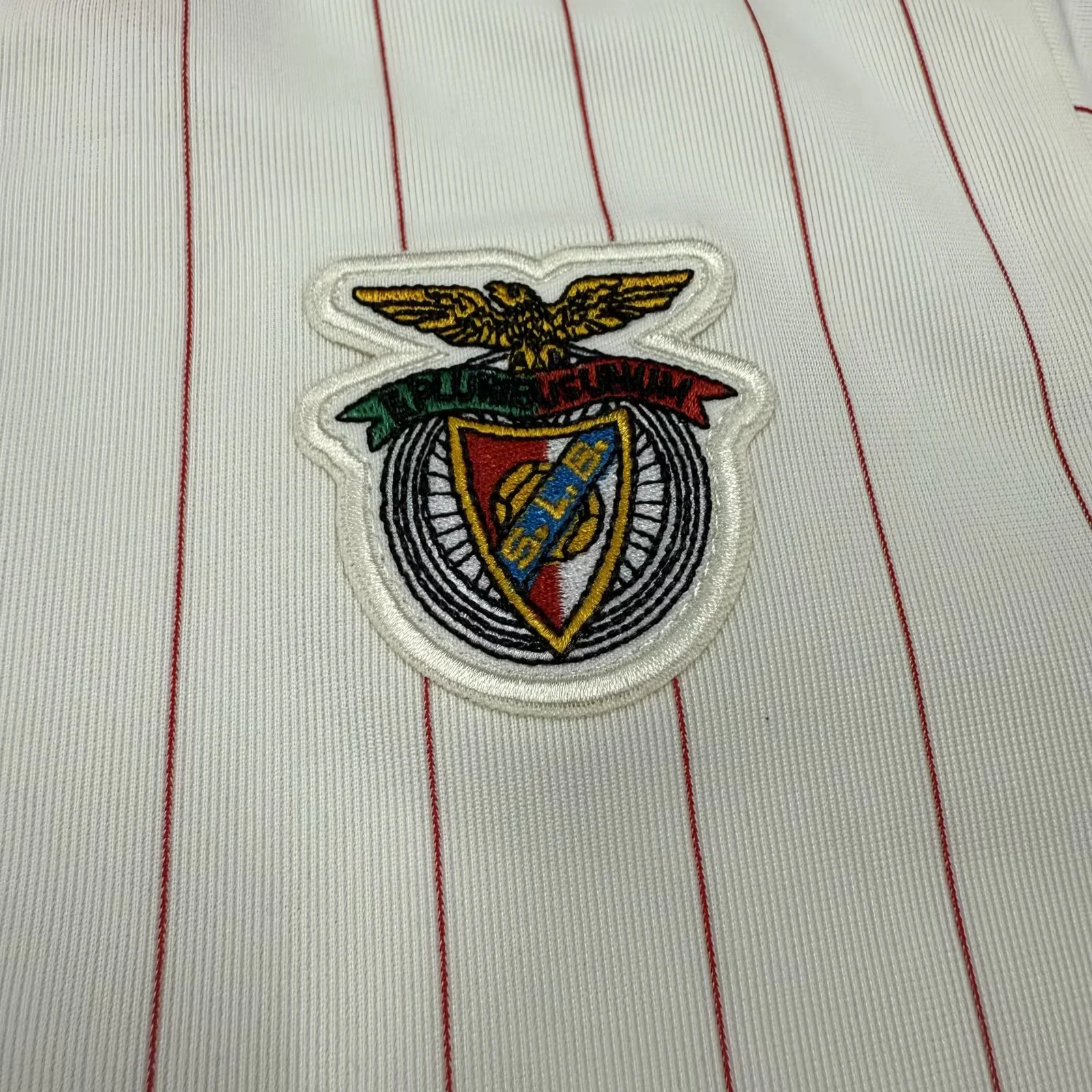 Kids Benfica Icon 25/26 16-28 4