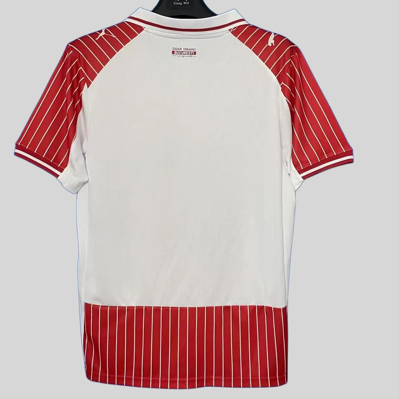 FC Dinamo București 25/26 Home  S-XXL Fan Version