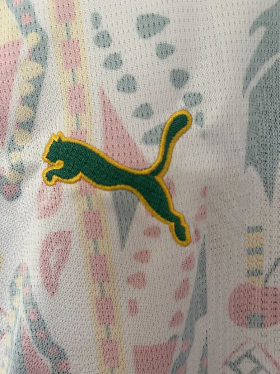 2026 World Cup Senegal Home Jersey S-XXL