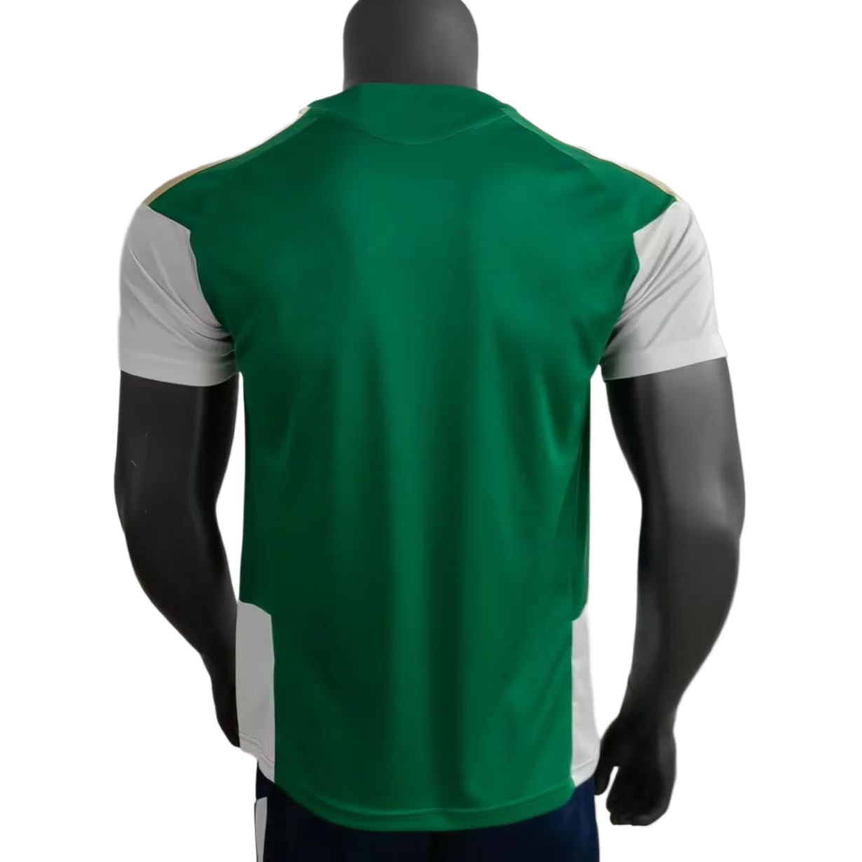 2026 Italy Training Green Jersey S-XXL Fan Version