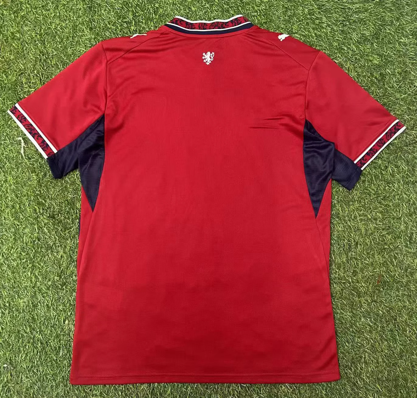 Czech 26/27 Home kit S-XXL