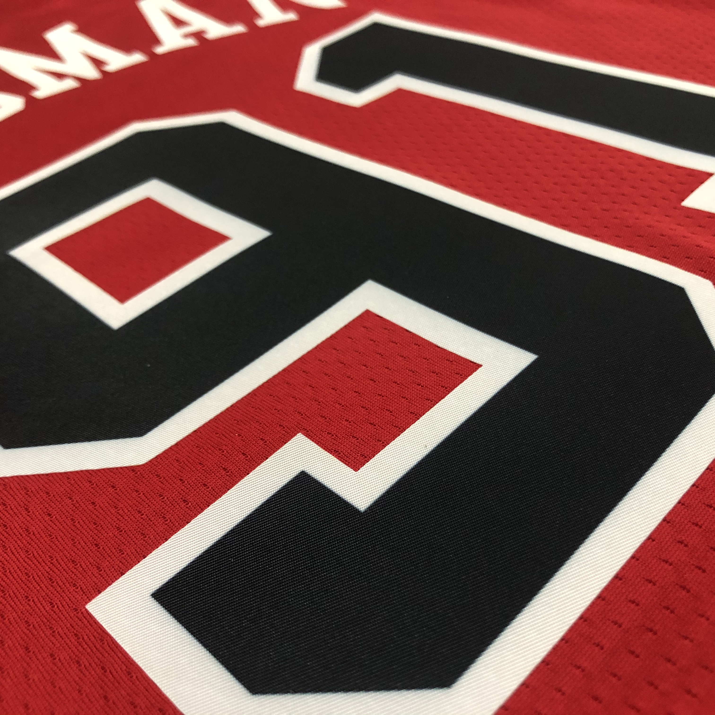 75th Anniversary Chicago Bulls Red Jersey No.91