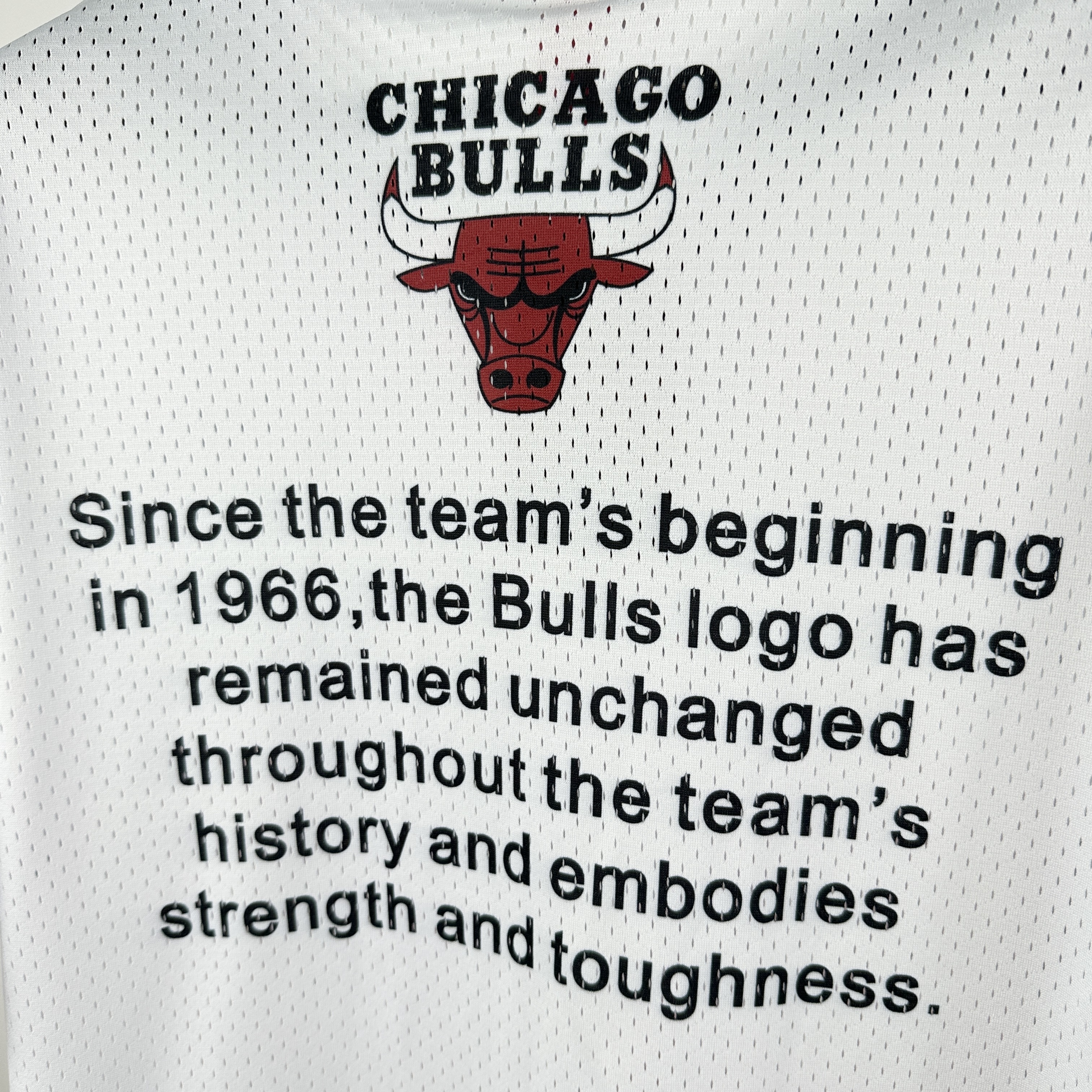 26 Season Chicago Bulls Jersey