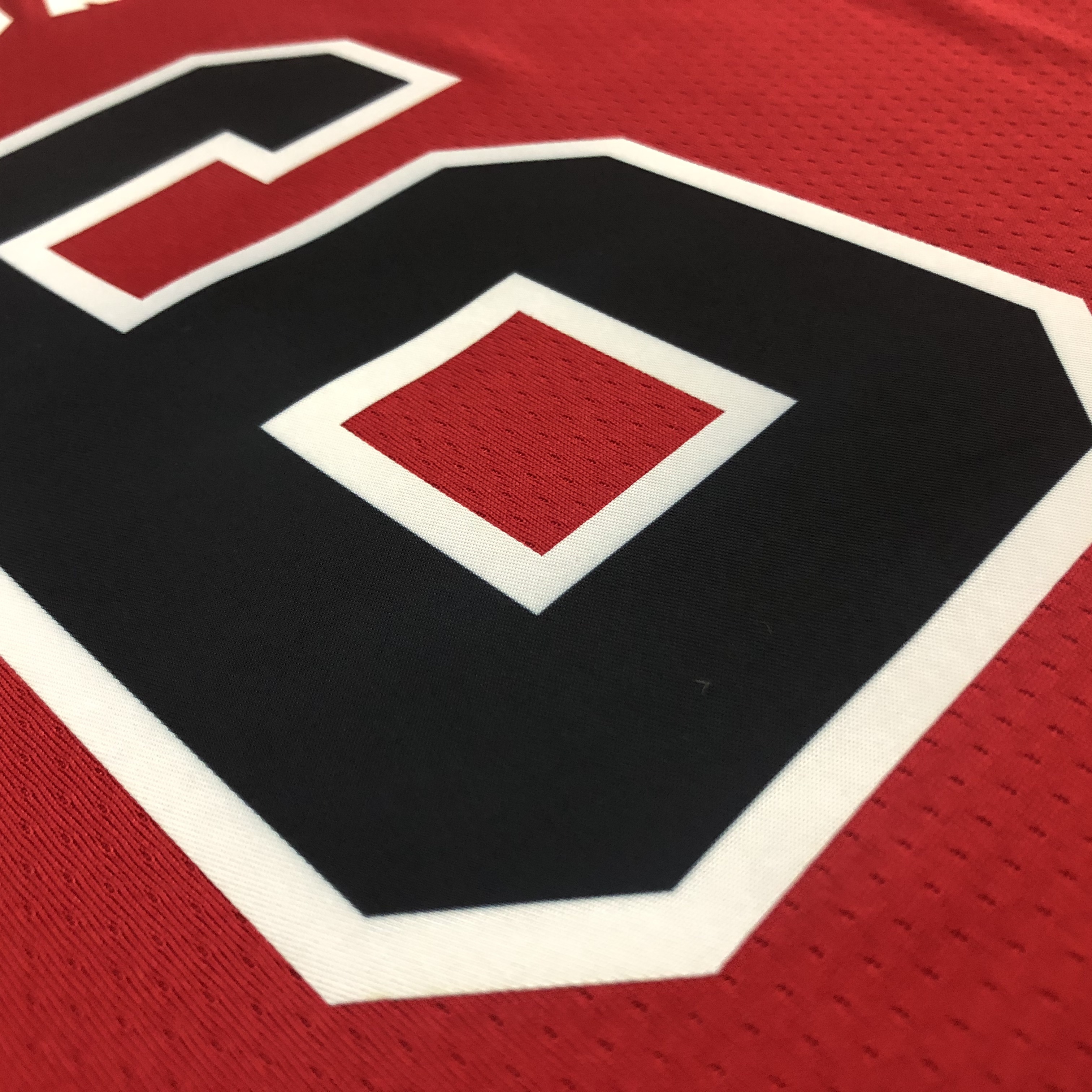75th Anniversary Chicago Bulls Red Jersey No.6