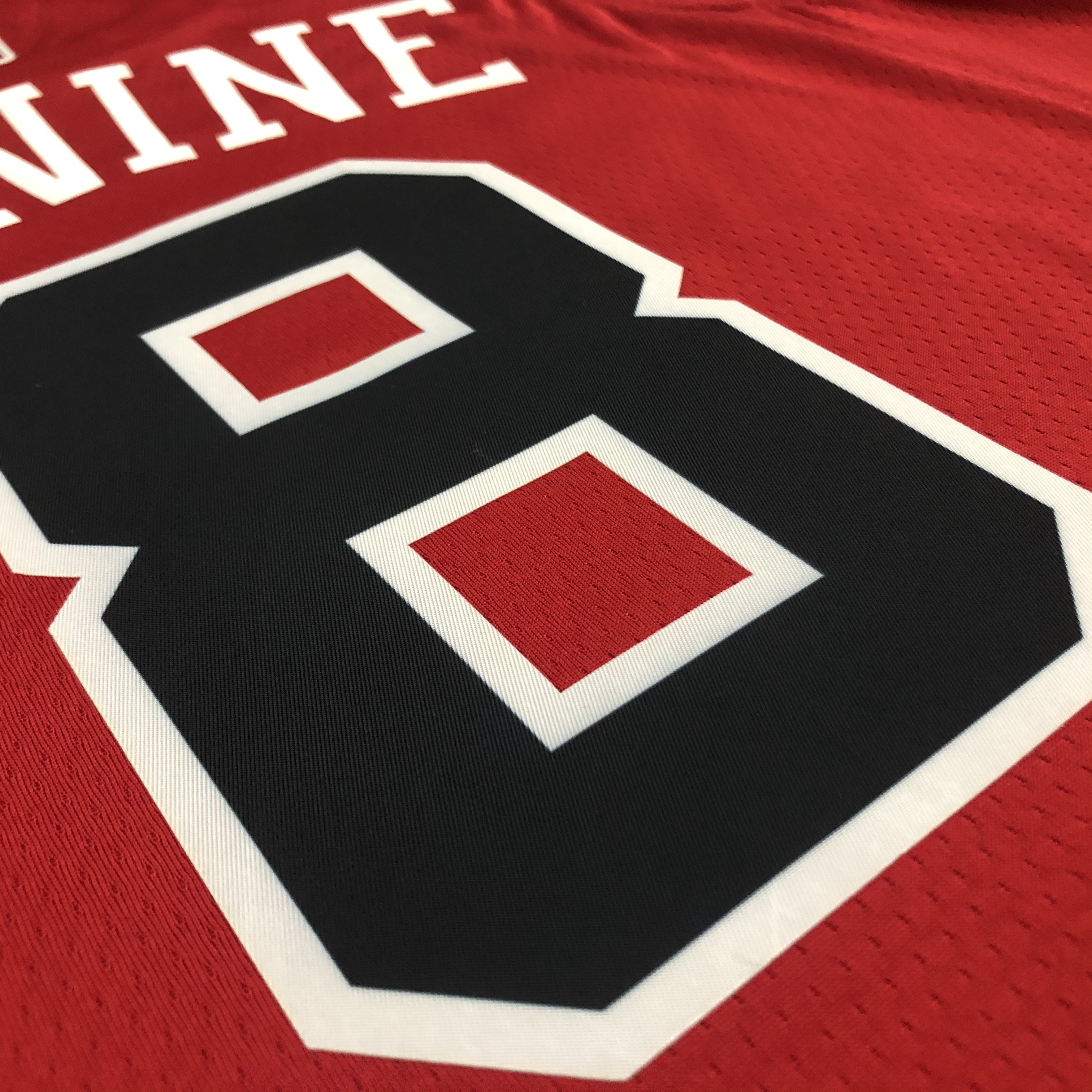 75th Anniversary Chicago Bulls Red Jersey No.8