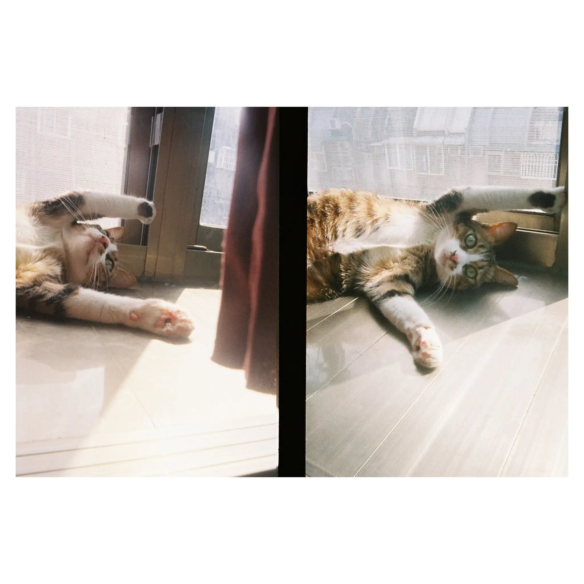 New KODAK EKTAR H35 Half Frame Camera 35mm Film Camera Reusable Film Camera With Flash Light