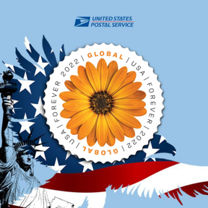 Global African Daisy 2022