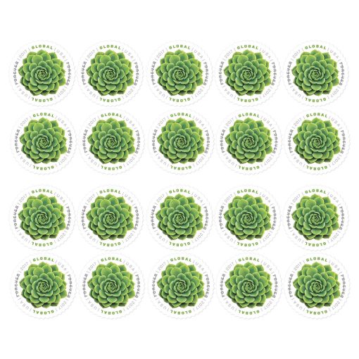 Global The Green Succulent 2017