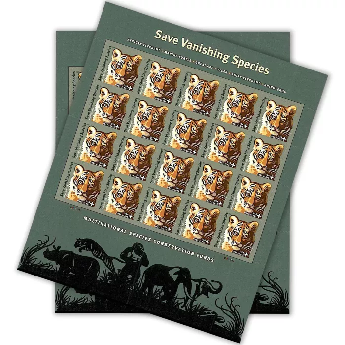 Save Vanishing Species Amur Tiger 2011