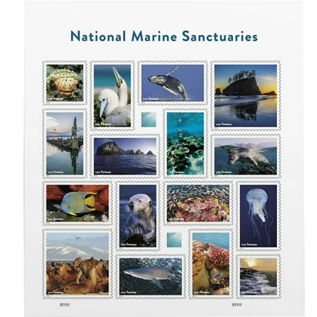 2022 National Marine Sanctuaries