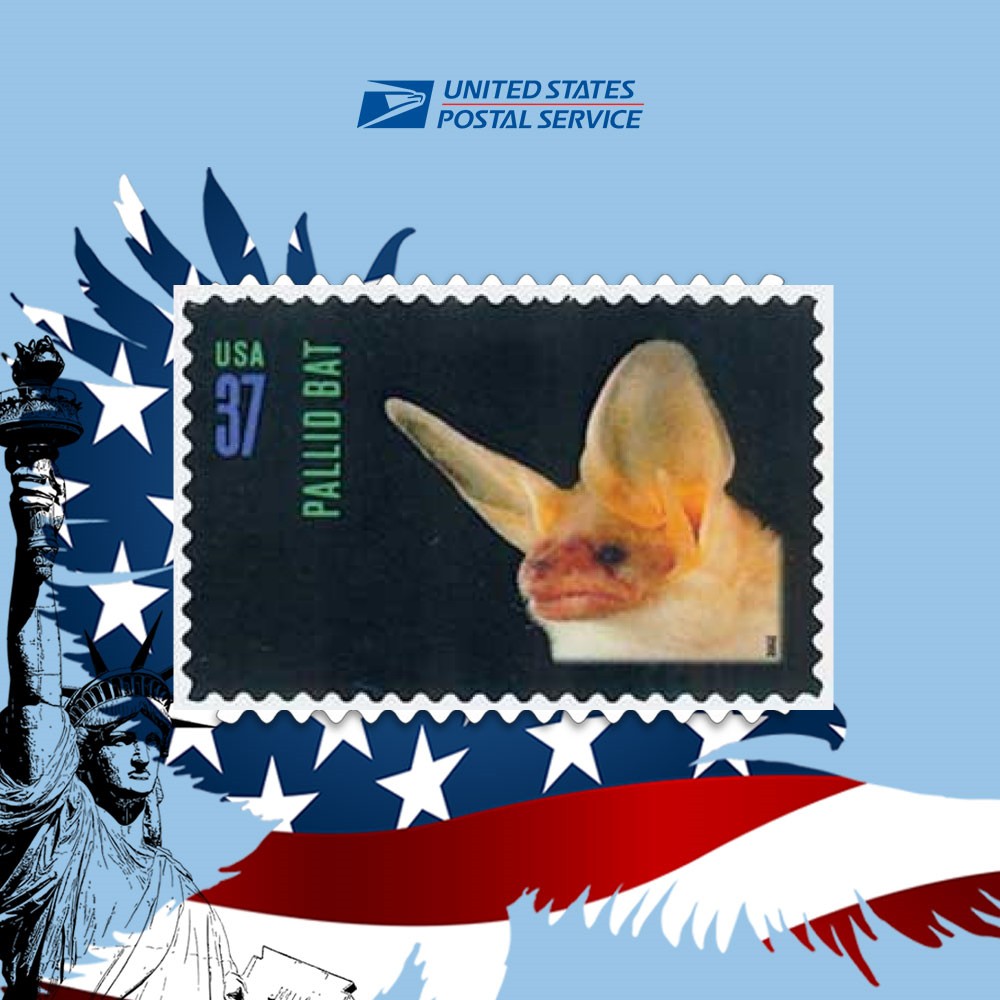 2002 Night Friends American Bats