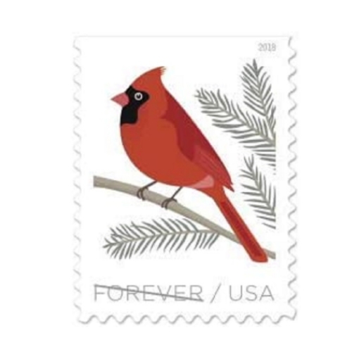 2018 Birds in Winter