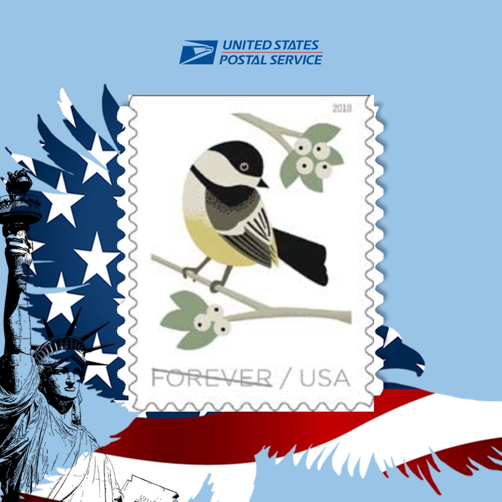 2018 Birds in Winter