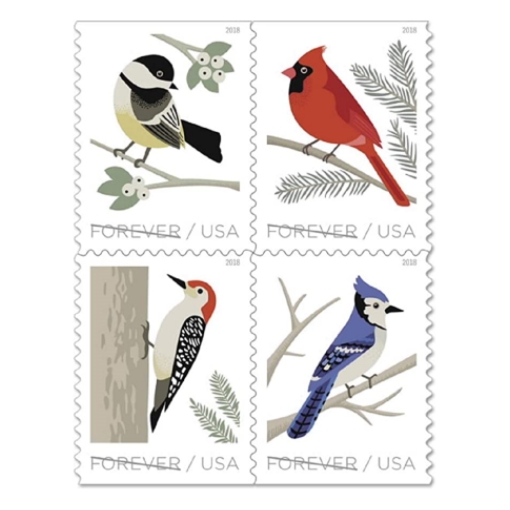 2018 Birds in Winter