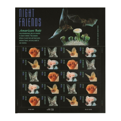 2002 Night Friends American Bats