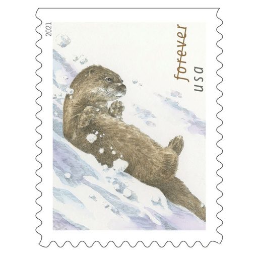 Otters in Snow 2021
