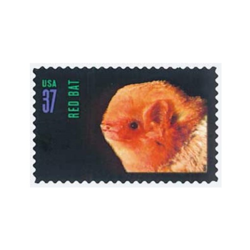 2002 Night Friends American Bats