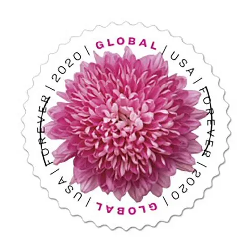 Global Chrysanthemum 2020
