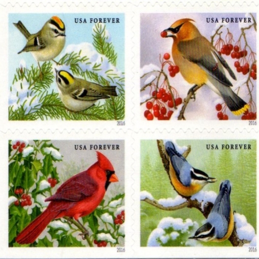 2016 SONGBIRDS IN SNOW