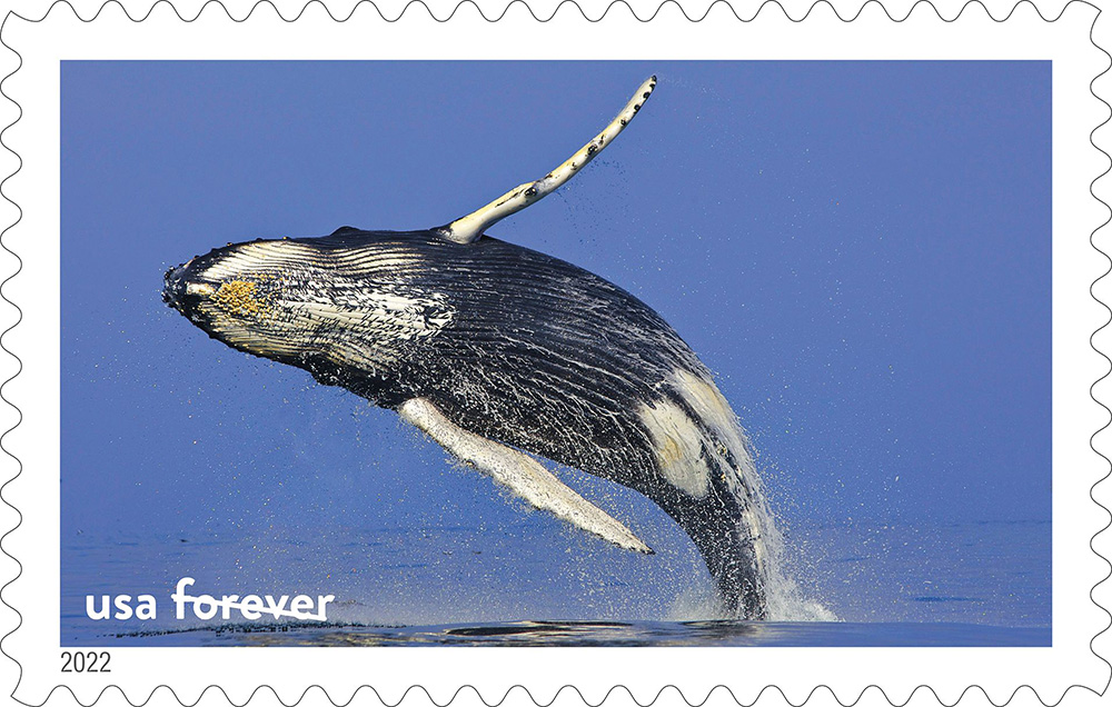 2022 National Marine Sanctuaries