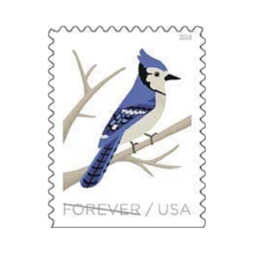 2018 Birds in Winter