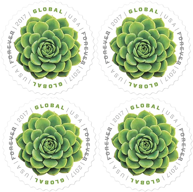 Global The Green Succulent 2017